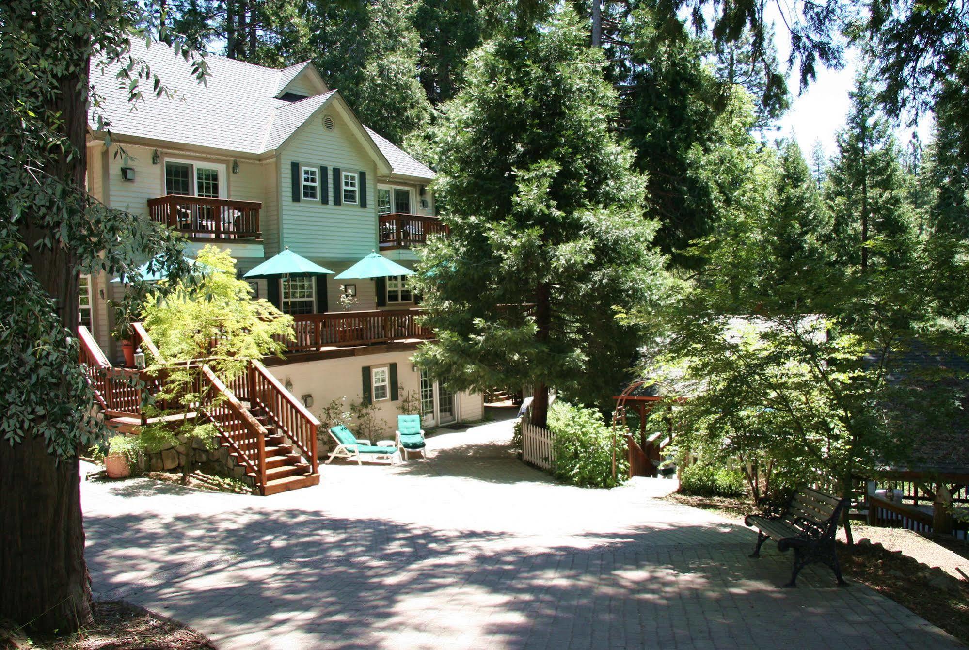 Mccaffrey House Bed And Breakfast Inn Twain Harte Extérieur photo